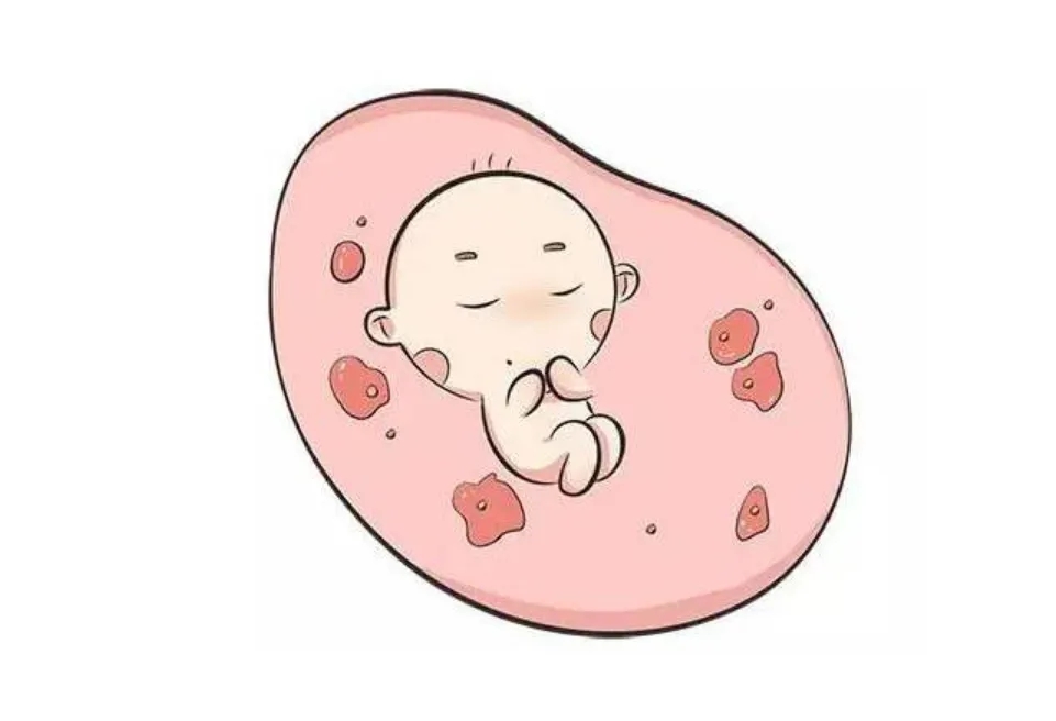 2445102446.jpg 2445102446.jpg