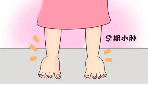 014641354022641.jpg 014641354022641.jpg