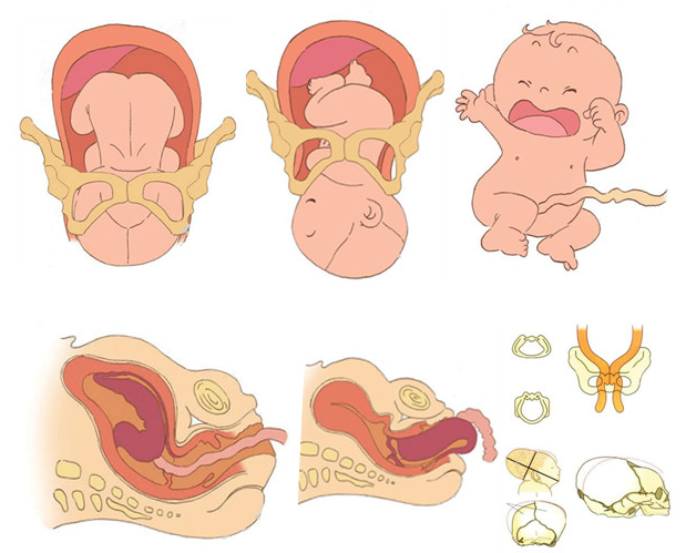 f91f128682ea422b8aca24dac9b0c5ea_noop.png f91f128682ea422b8aca24dac9b0c5ea_noop.png