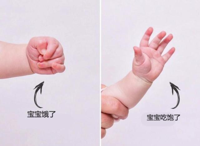 8381a3326a984513993e273dd5adbf00_noop.jpg 8381a3326a984513993e273dd5adbf00_noop.jpg