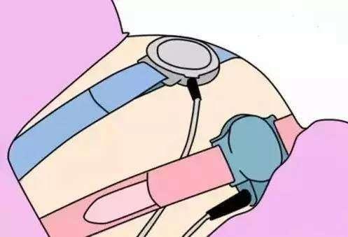 afec-haichqz2122783.jpg afec-haichqz2122783.jpg