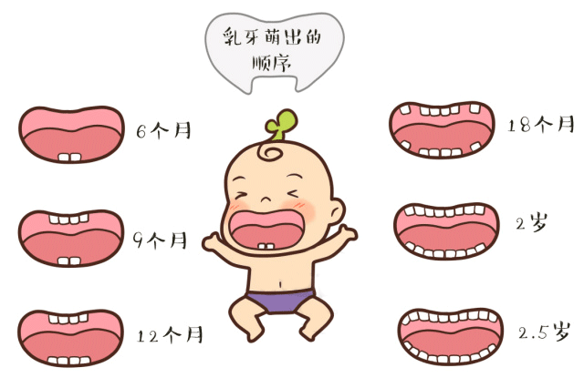 u=3059055558,179166503&fm=30&app=106&f=PNG.png u=3059055558,179166503&fm=30&app=106&f=PNG.png