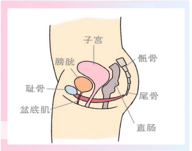 2d30f68ce7c045e0a10eeeb67992e7ee_noop.jpg 2d30f68ce7c045e0a10eeeb67992e7ee_noop.jpg