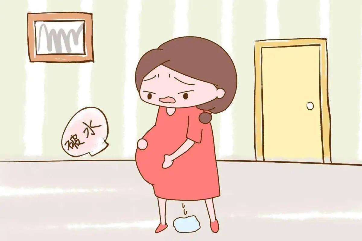 u=225005395,2583670095&fm=253&fmt=auto&app=120&f=JPEG.webp.jpg u=225005395,2583670095&fm=253&fmt=auto&app=120&f=JPEG.webp.jpg