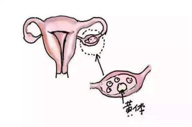 20220311105751_84654.jpeg 20220311105751_84654.jpeg